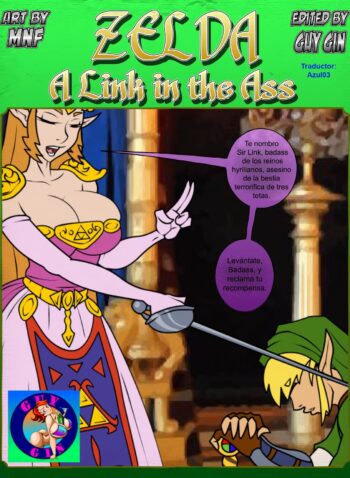 Zelda A Link in the Ass – Guy Gin