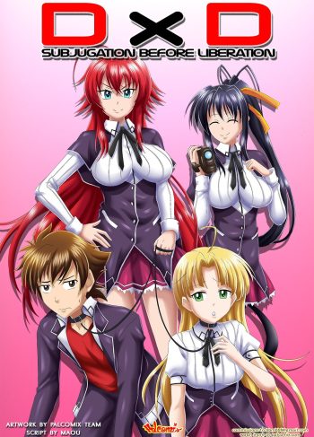 DxD Subjugation Before Liberation – Palcomix