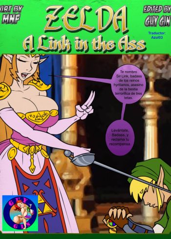 Zelda – A Link in the Ass