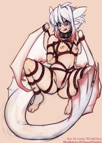 Como entrenar a tu Dragon – Matemi