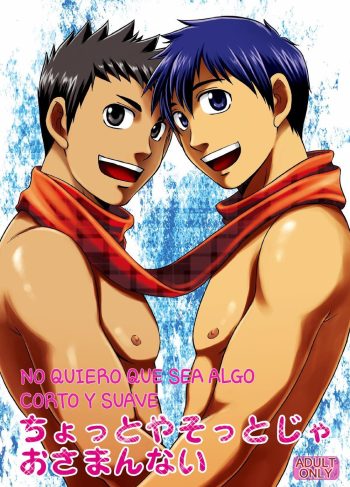 Chotto ya Sotto ja Osamannai – Hentai Gay