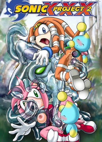Sonic XXX – Project 2